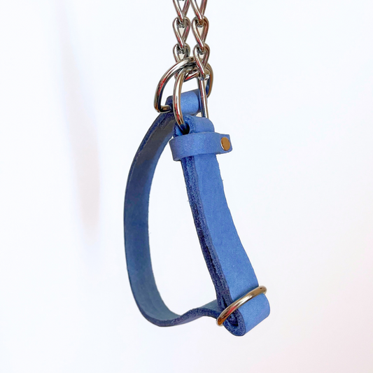 Martingale - blue