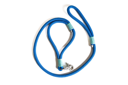 Ready to ship - Traffic leash (Royal blue)